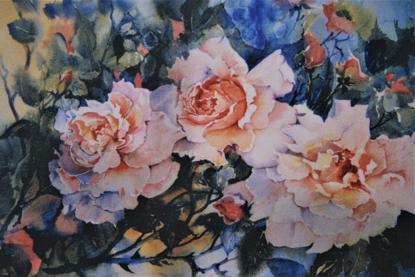 Belle Story Roses - $35.00