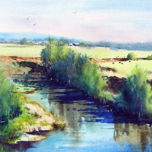 Singleton Reflections