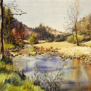 The Peel Reflections