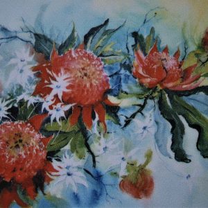 Waratahs