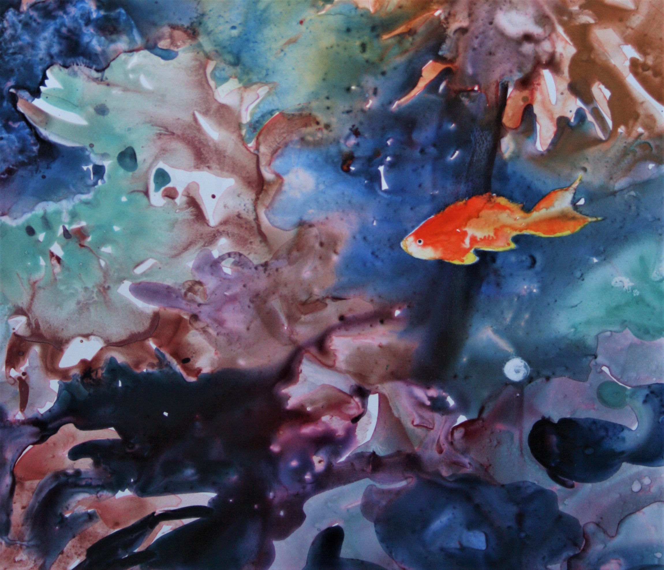 Coral Reef Beauty 2 Coral Reef Beauty 2
