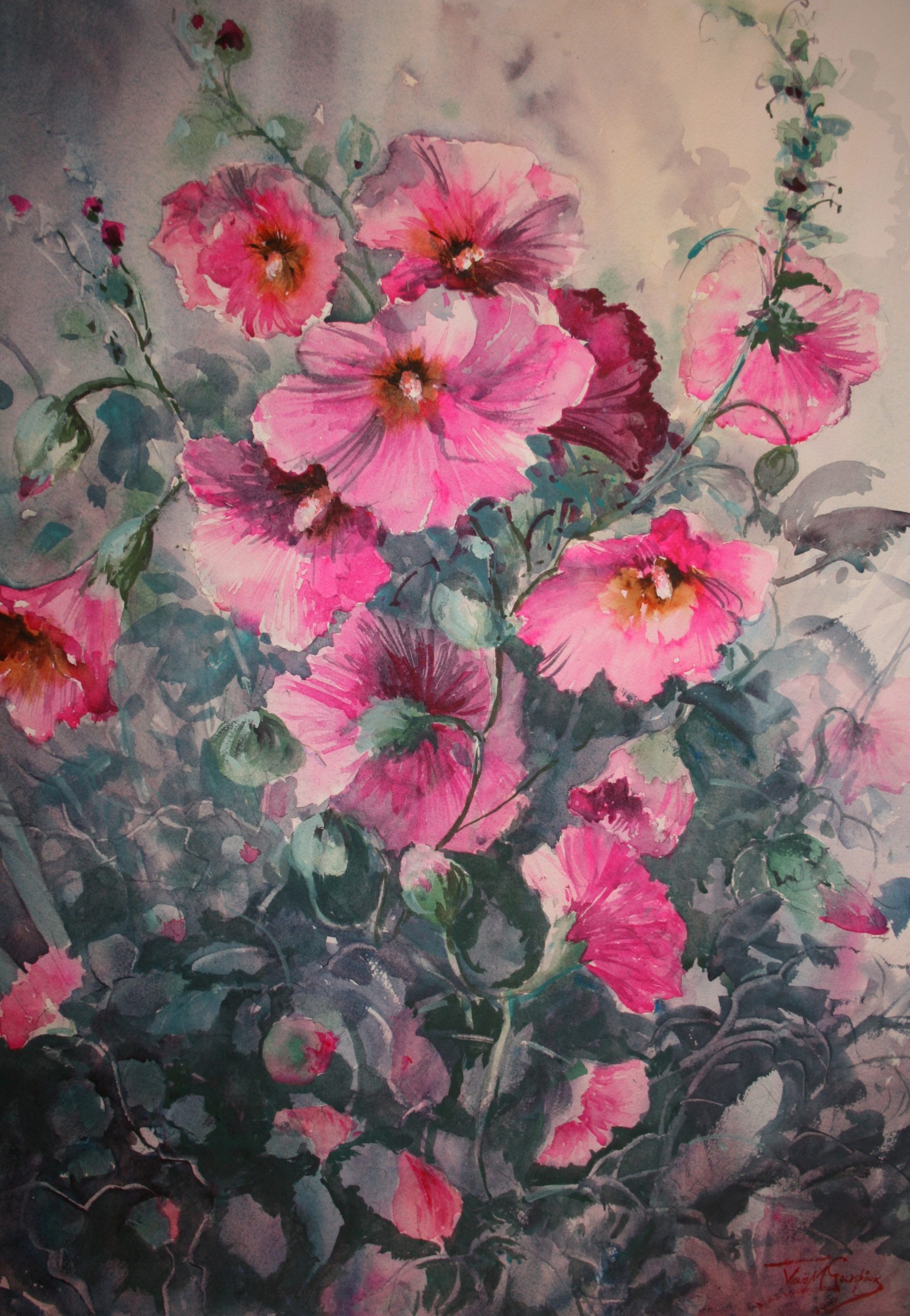 Pretty-in-Pink-Hollyhocks-No3-af5980d00afd578ae5036be3ae80b565